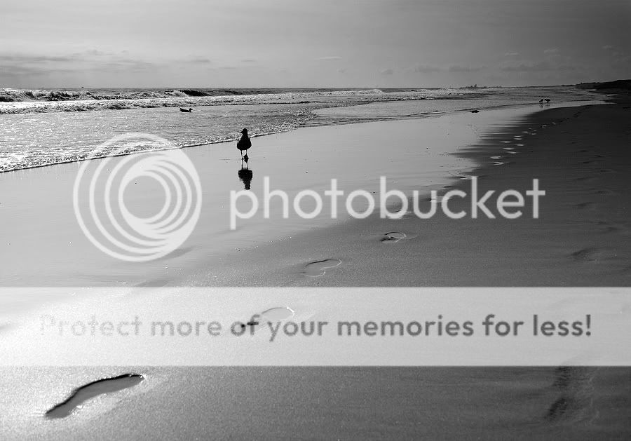 Fotografie