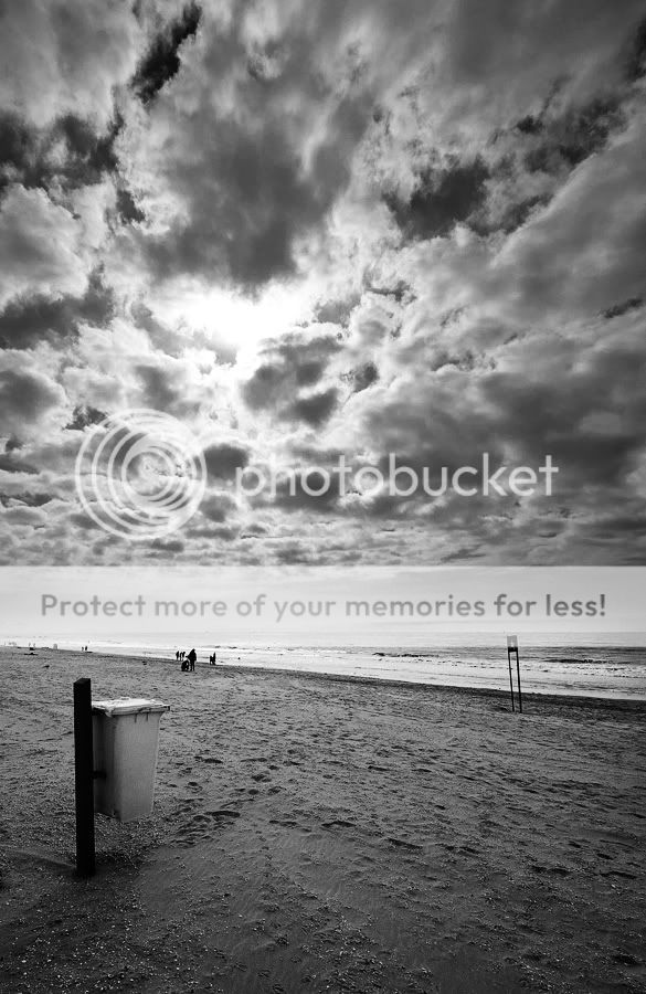 Fotografie