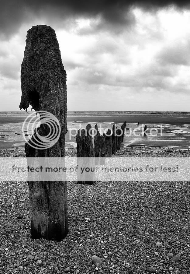 Fotografie