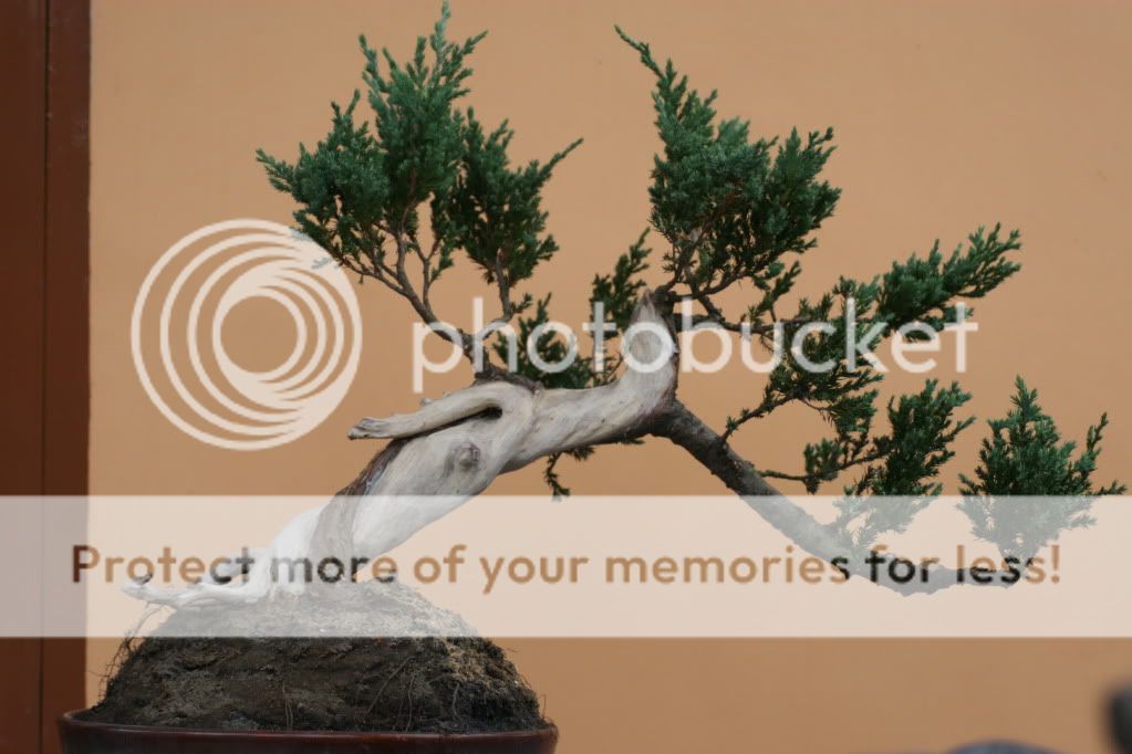 Làm lũa Ngọa Tùng