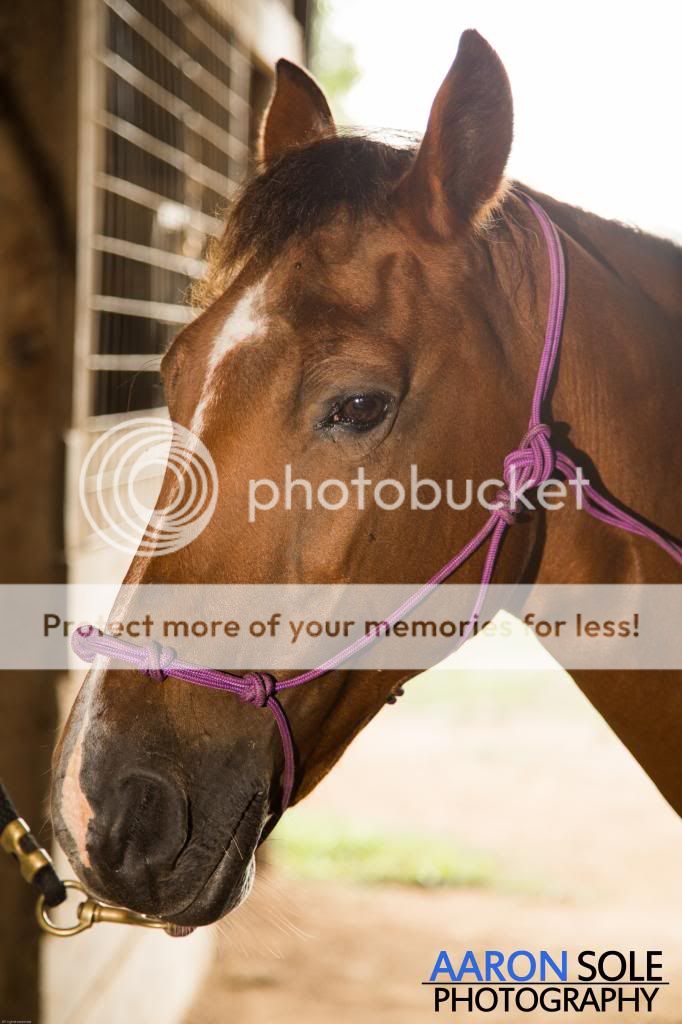 IMAGE: http://i811.photobucket.com/albums/zz34/solepatch/Belleportraitwatermarked_zps9b848c79.jpg