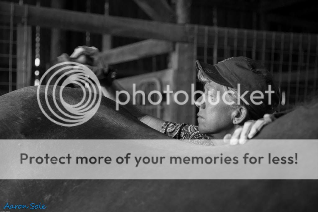 IMAGE: http://i811.photobucket.com/albums/zz34/solepatch/BrushingBackWatermarked_zps7d080538.jpg