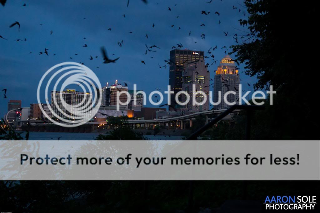 IMAGE: http://i811.photobucket.com/albums/zz34/solepatch/Hitchcock_zps2664f8d5.jpg