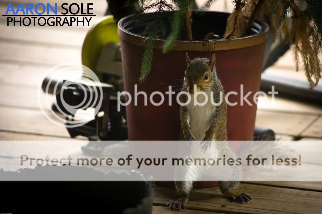 IMAGE: http://i811.photobucket.com/albums/zz34/solepatch/IMG_3759_zps603e70bb.jpg