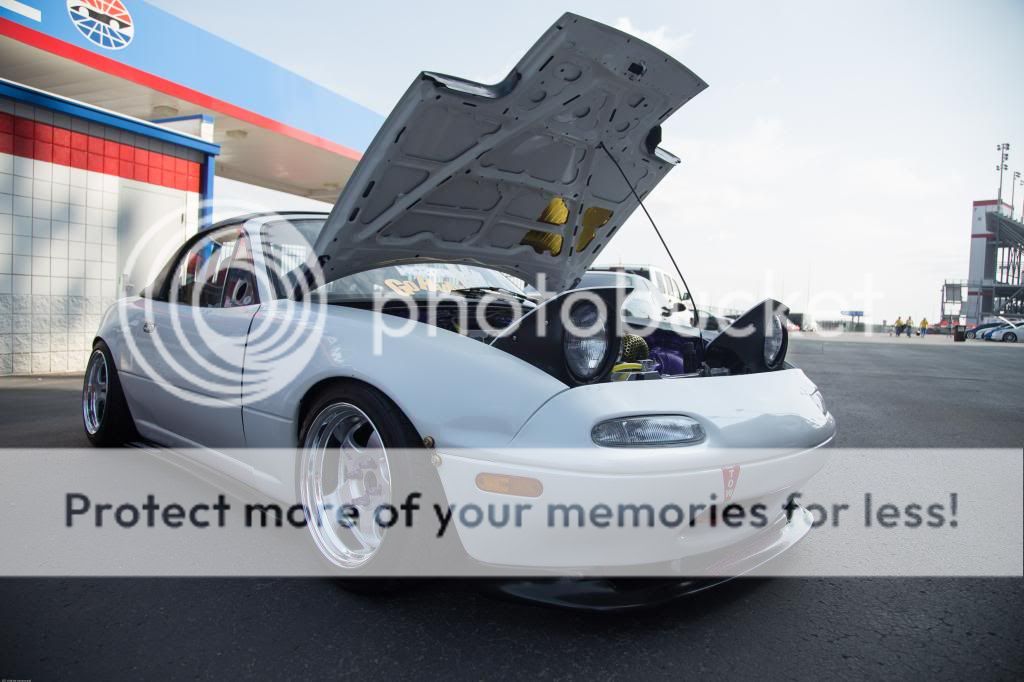 IMAGE: http://i811.photobucket.com/albums/zz34/solepatch/IMG_4638_zps066d2cfe.jpg