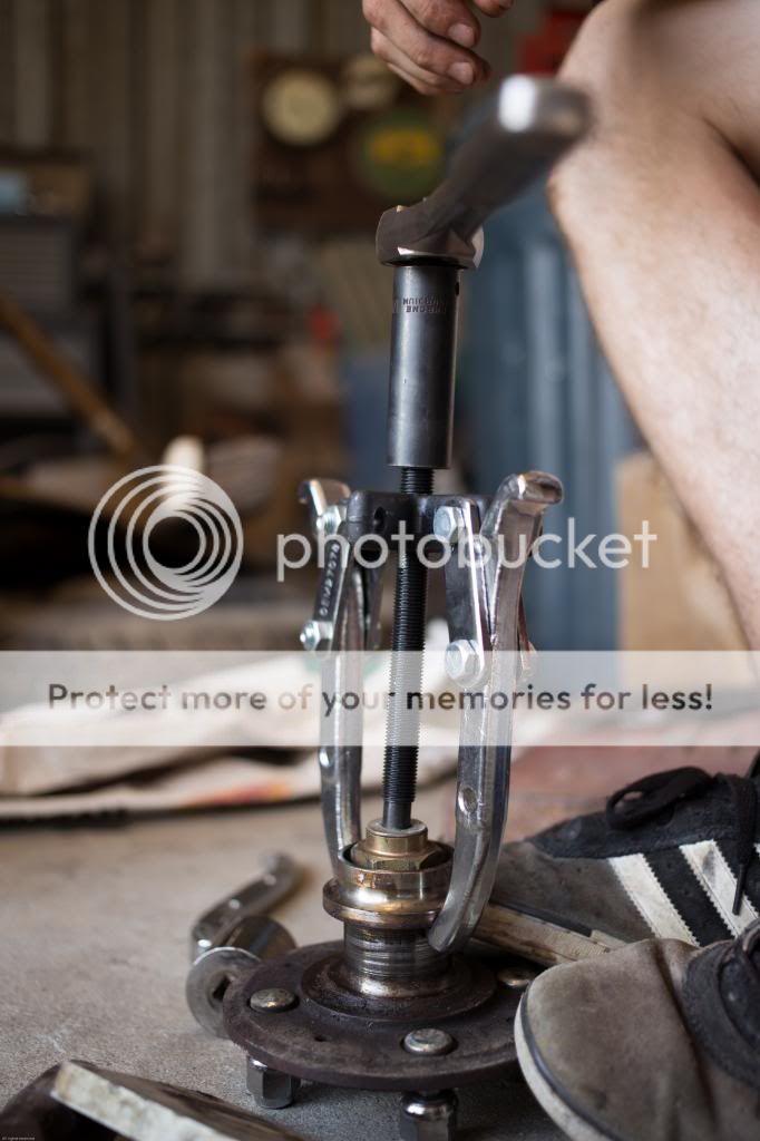 IMAGE: http://i811.photobucket.com/albums/zz34/solepatch/IMG_4740_zps95289848.jpg