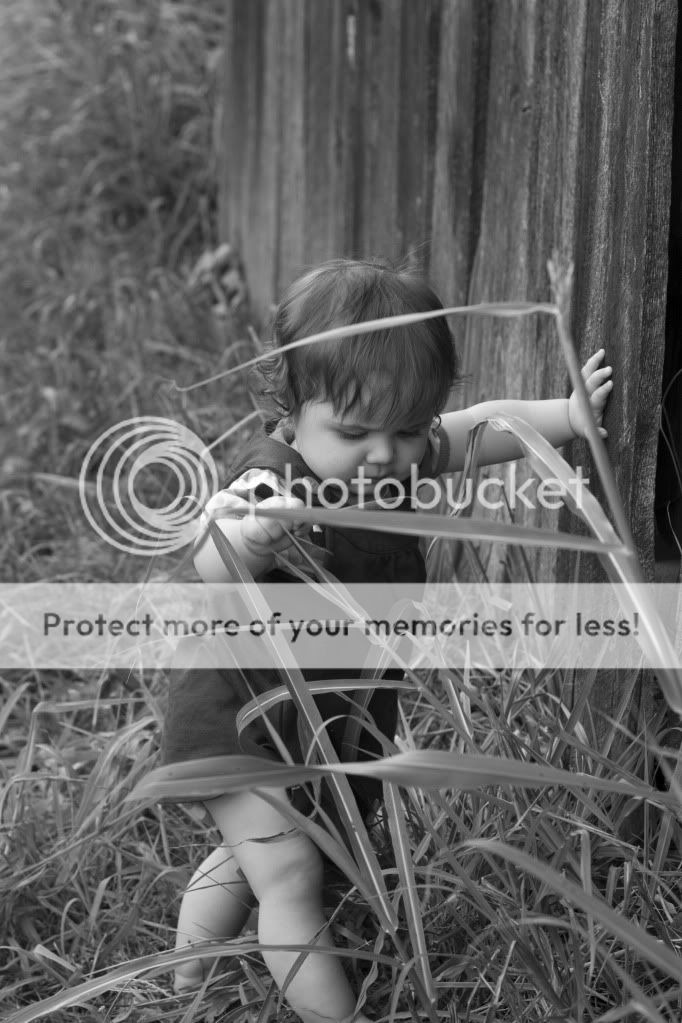 IMAGE: http://i811.photobucket.com/albums/zz34/solepatch/Maddie13.jpg