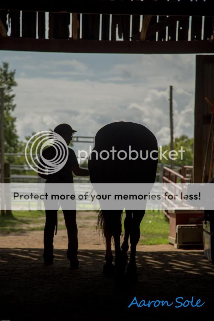 IMAGE: http://i811.photobucket.com/albums/zz34/solepatch/SilhoetteBrandy_zps42414461.jpg