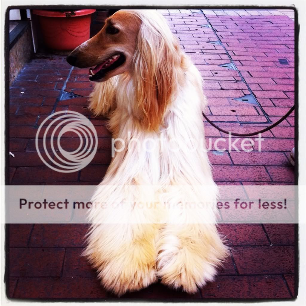 Uploaded from the Photobucket iPhone App