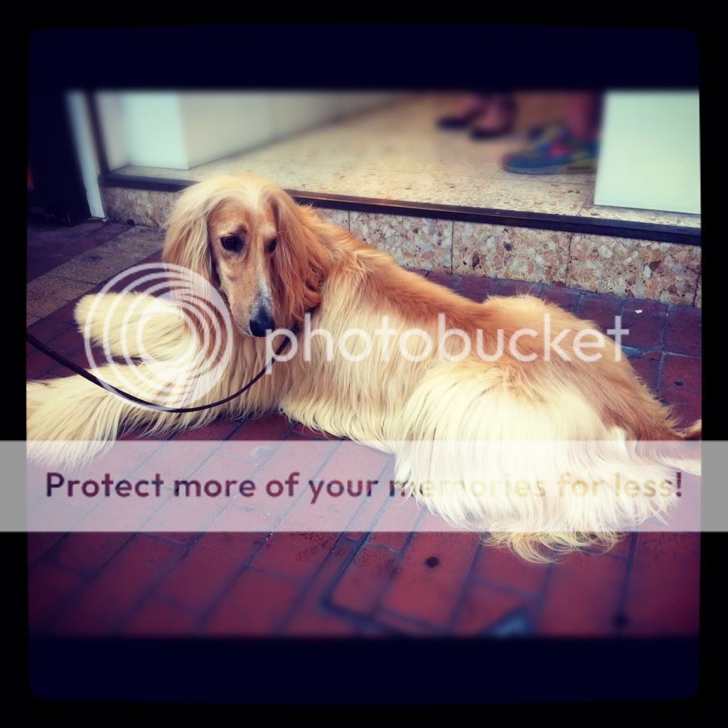 Uploaded from the Photobucket iPhone App