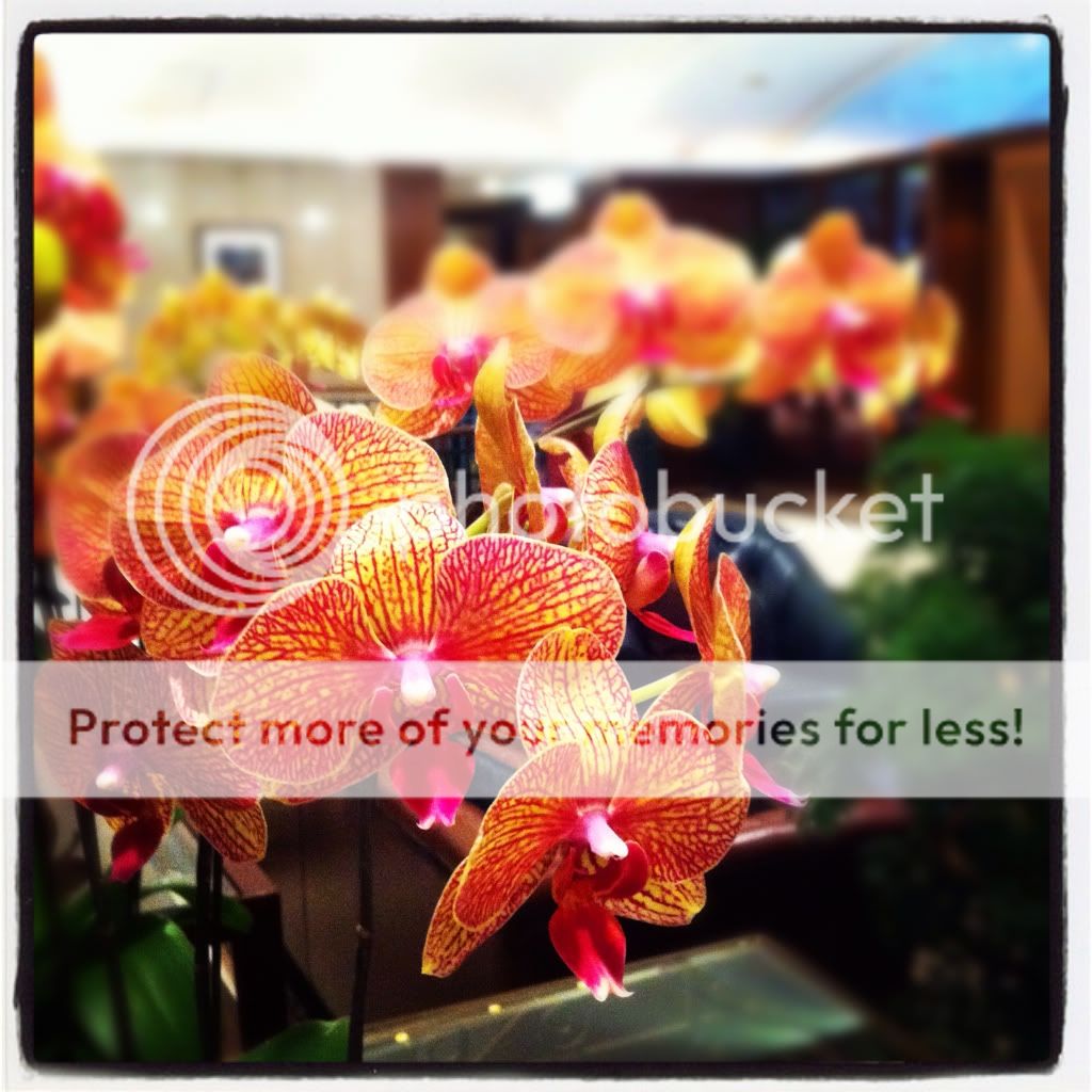 Uploaded from the Photobucket iPhone App