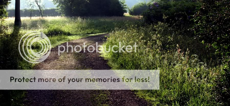 Fotografie