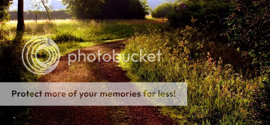 Fotografie