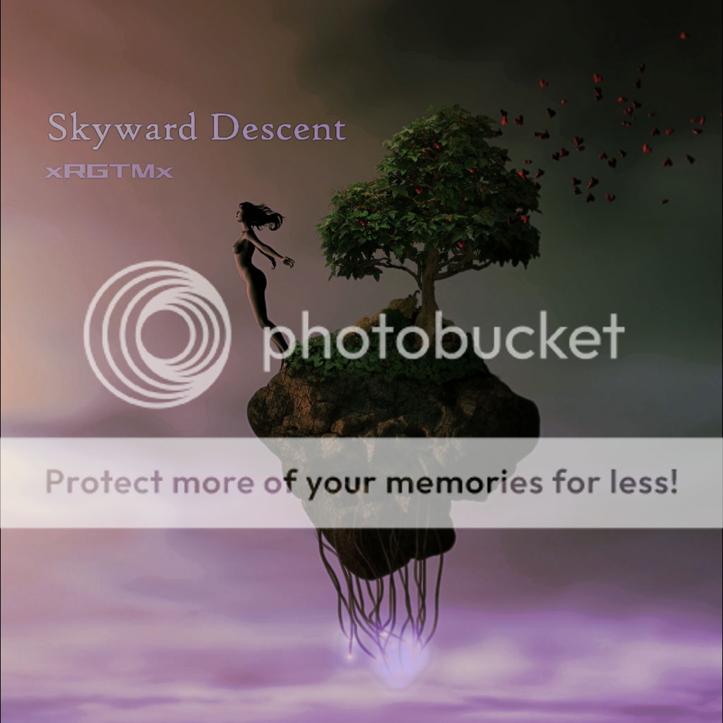 http://i811.photobucket.com/albums/zz36/xRGTMx/Skyward%20Descent-cover_zpsizvatjqn.png