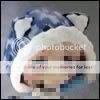 http://i811.photobucket.com/albums/zz38/Susuzu/LSB/Sonico01-1.jpg
