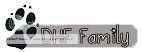 DHF Family DHF Family