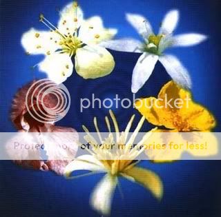 I fiori di Bach: Introduzione