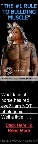 http://i811.photobucket.com/albums/zz40/EyesoftheSky_2009/test-2.jpg?t=1261550702